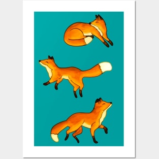 Three Free Frolicking Foxes Posters and Art